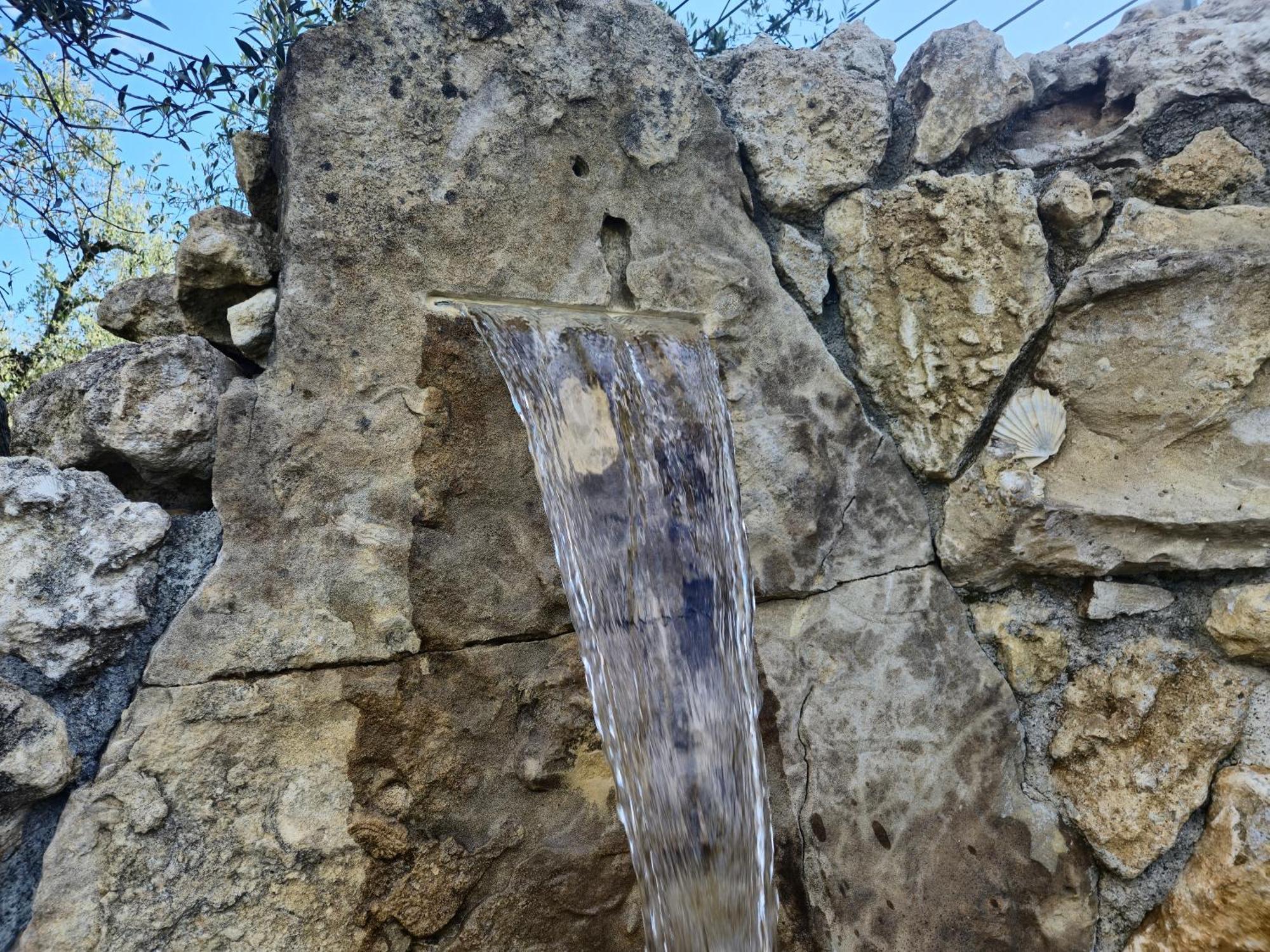 Agriturismo Ai Massi Casale Marittimo Εξωτερικό φωτογραφία
